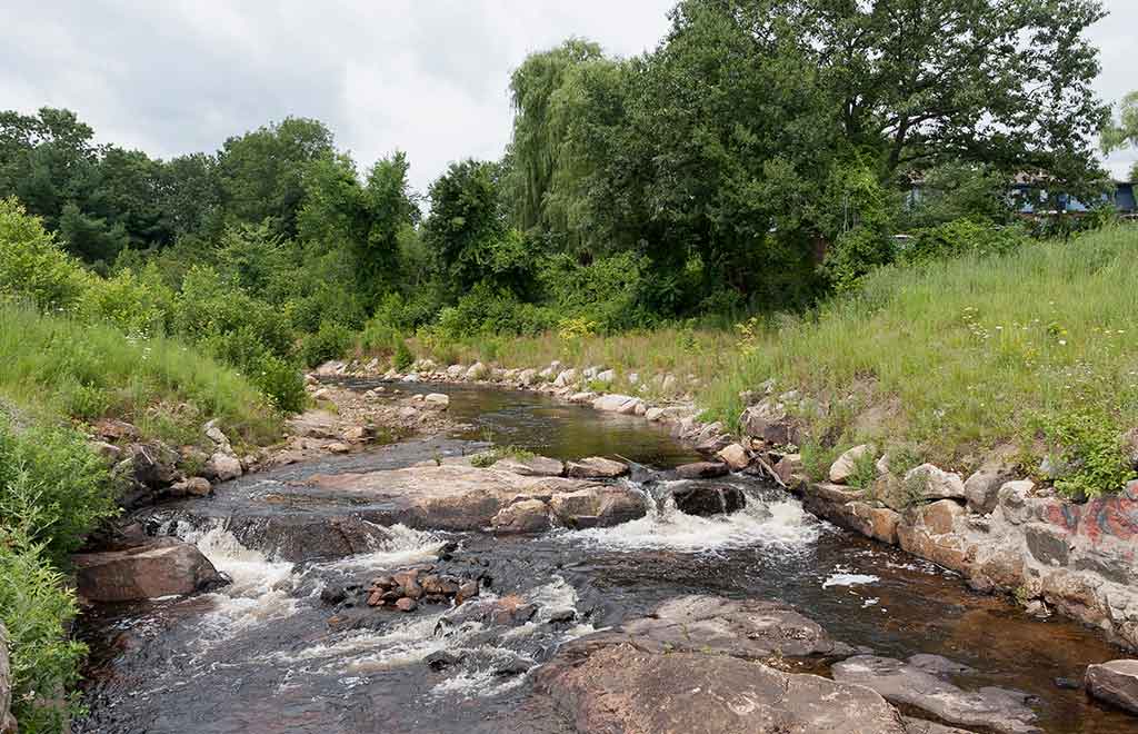 BlackBrookNaturalizedStreamBankStabilization1 DuBois & King, Inc.