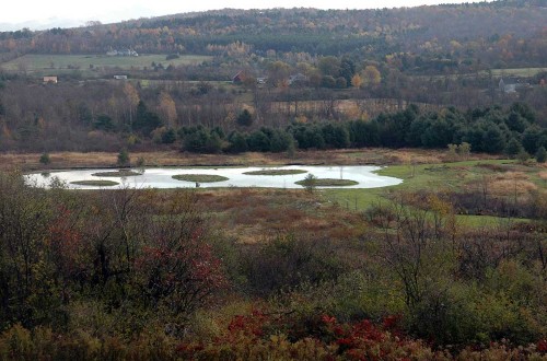 BTV Wetland Mitigation