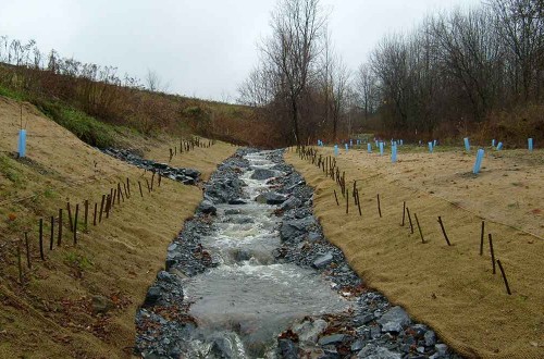 Oak Hill Stream Channel