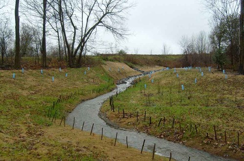 Oak Hill Stream Channel