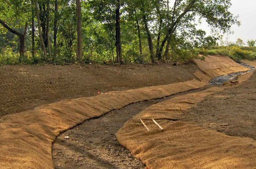 Oak Hill Stream Channel