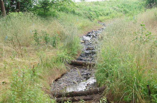 Oak Hill Stream Channel