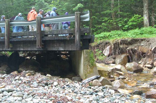 South Gale Road, USFS