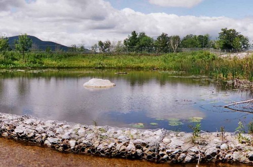 Veteran’s Reservoir Amphibian Habitat