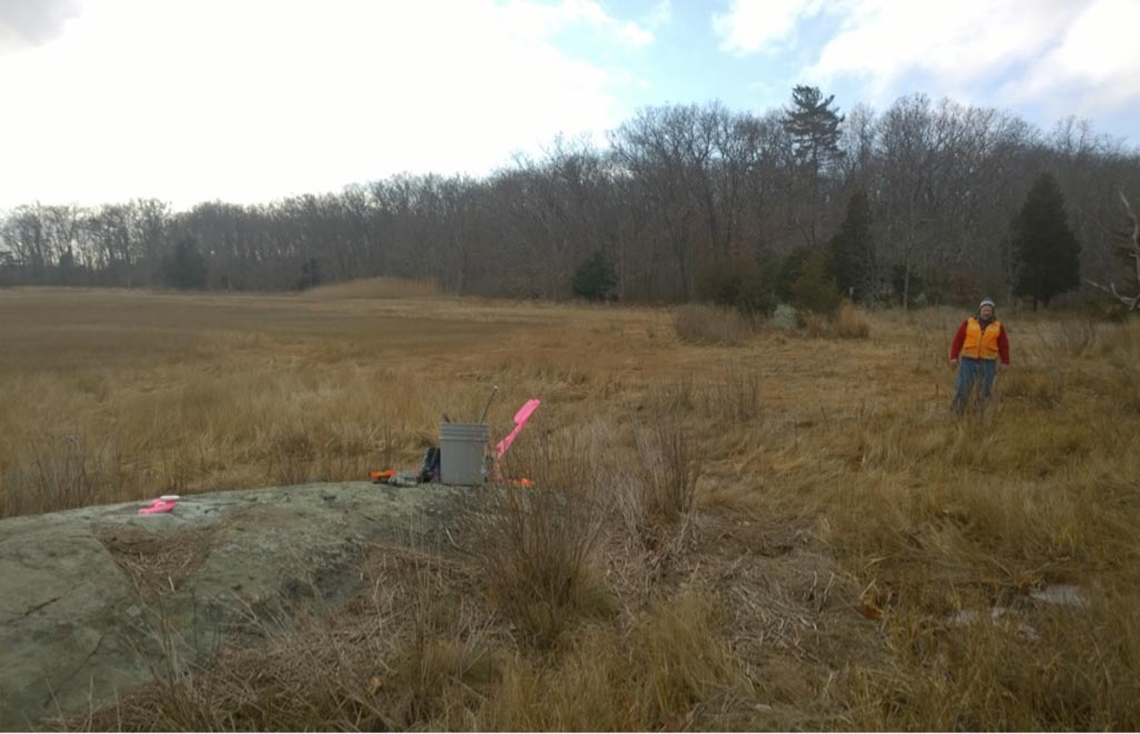 United States visual data 3