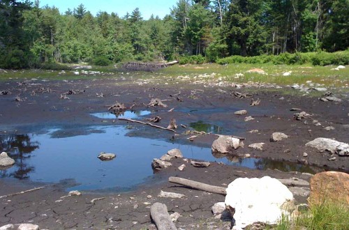 Stump Pond Dam Removal