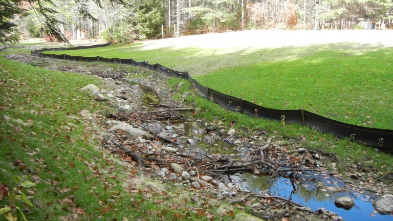 Ann Jackson Dam Removal