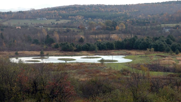 BTV Wetland Mitigation