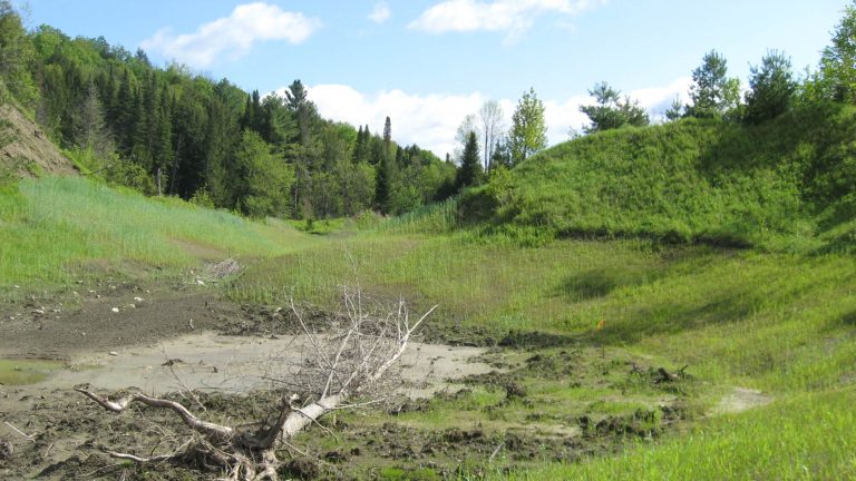 Wetland Mitigation, US 2, Segment 1