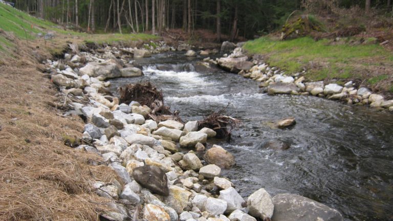 Molly’s Falls Channel Relocation