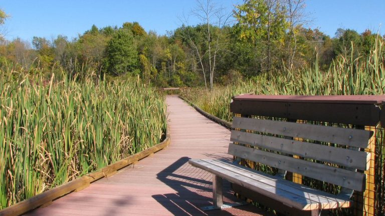 Otter View Park
