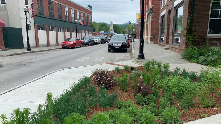 Merchants Row Rain Garden
