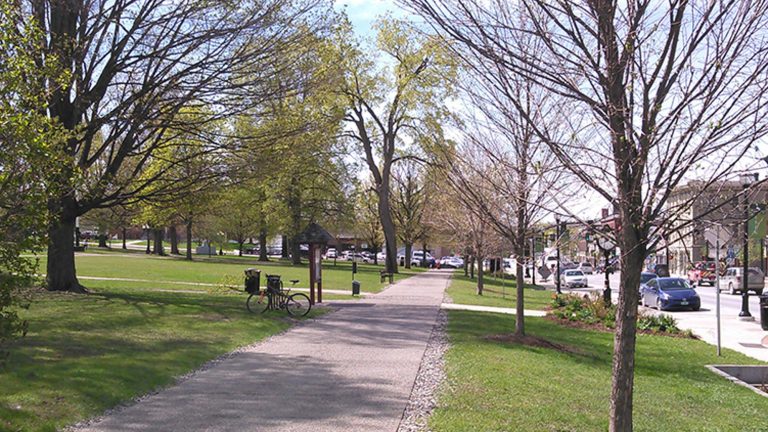Taylor Park Master Plan