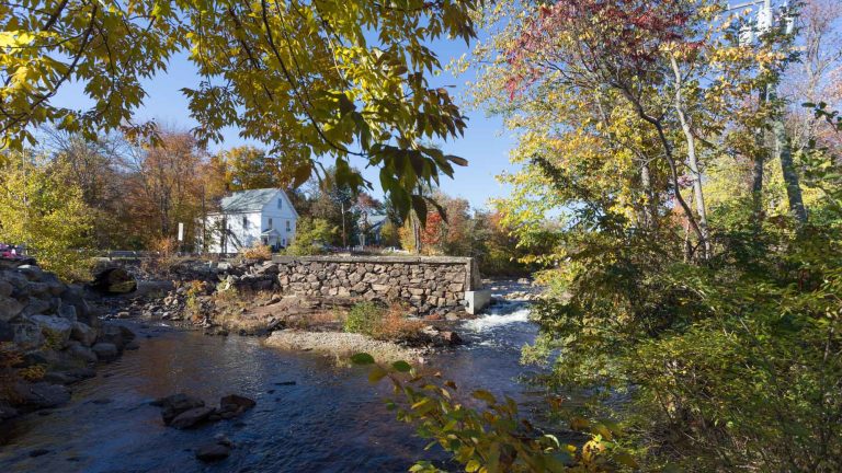 Union Village Dam Removal
