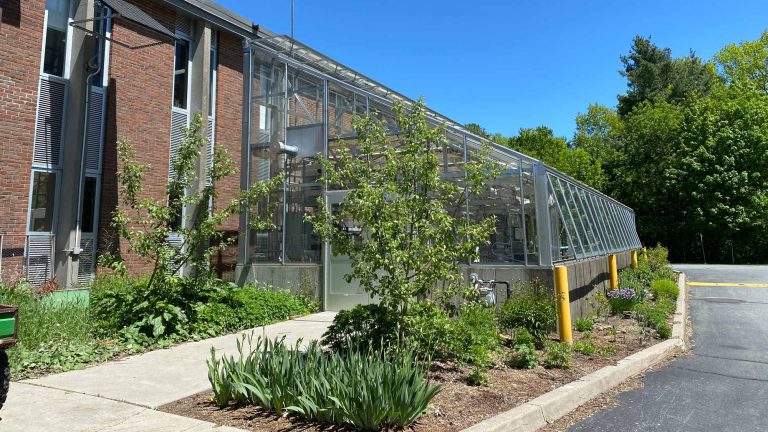 Vermont Green Schools Stormwater