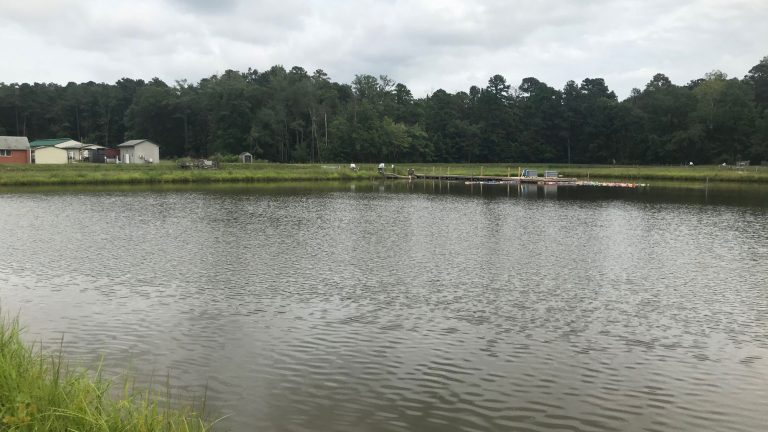Pond & Kettle Project, Harrison Lake NFH
