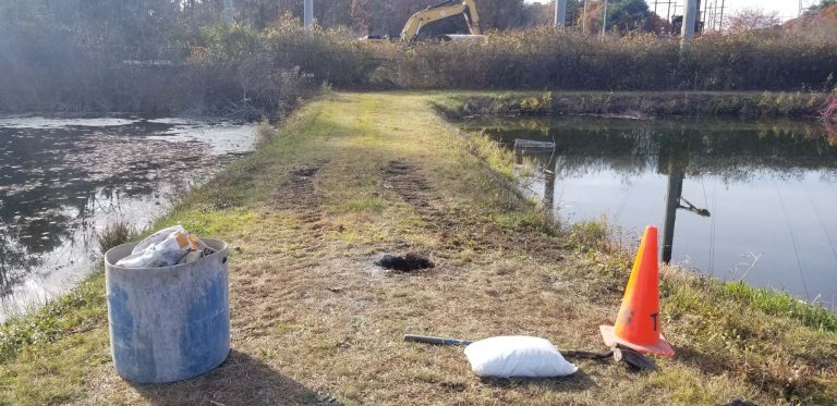 Pond Rehabilitation, North Attleboro NFH