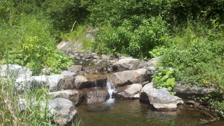 Sucker Brook Stream Stabilization