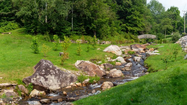 Cold Spring Brook Park Dam Removal