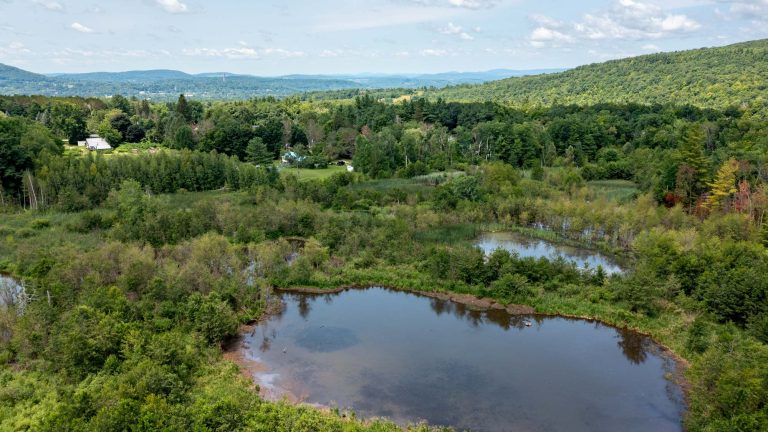 Wetland Mitigation, EIS, Bennington Bypass
