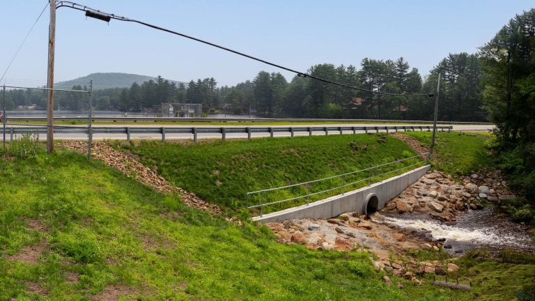 Lower Wilson Pond Dam