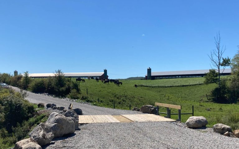 Stonewood and Boudreau Farm Bridges
