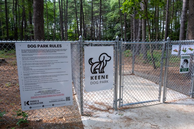 Wheelock Park Disc and Dog Parks