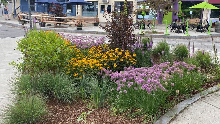 Landscape Architecture